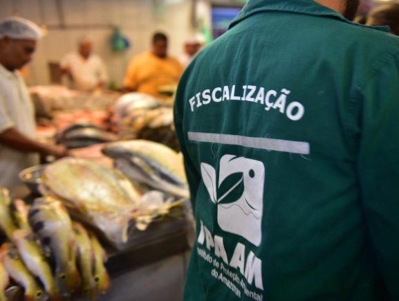 Ipaam alerta para início do período de defeso de espécies aquáticas